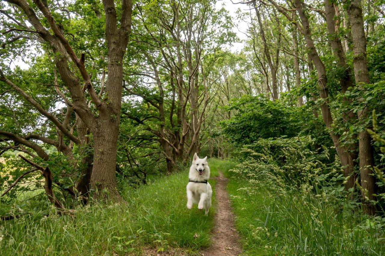 Slaaphutje Buitenwedde Westerwolde エクステリア 写真