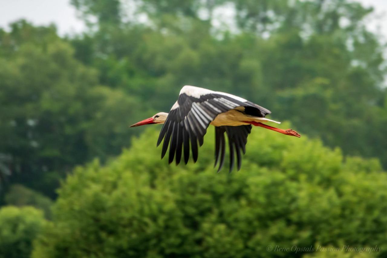 Slaaphutje Buitenwedde Westerwolde エクステリア 写真