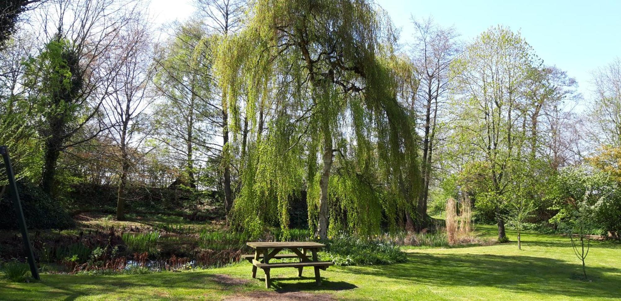 Slaaphutje Buitenwedde Westerwolde 部屋 写真